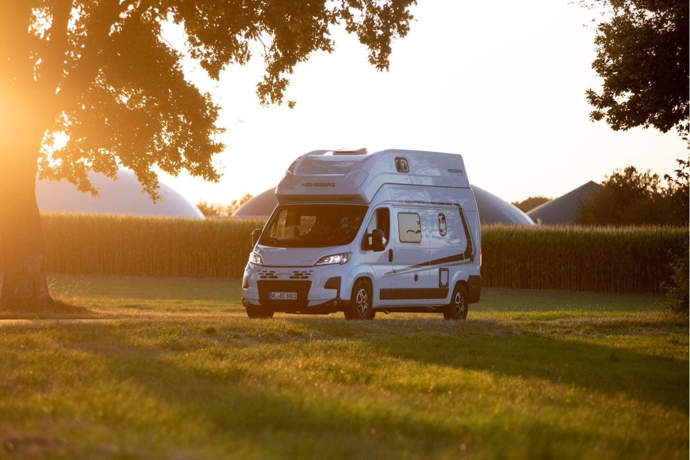 Camper mieten Nordheide – CaraBus fahrend im Gegenlicht durch Baumallee